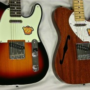 cvteles1